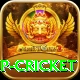 2022 world cup cricket Plus Pro v2.2.3