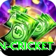 afghanistan cricket Pro Edition v2.4.5