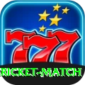 all cricket match Pro Edition v2.8.8