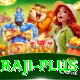 baji VIP v4.8.4