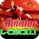 bbl cricket Apps (Tools & Injectors) Max v5.5.4
