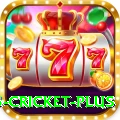 bet365 cricket Pakistan Legend v2.5.7