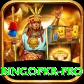 bingopkr - Live Plus