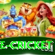 bpl live cricket Deluxe v5.8.8