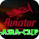cricbuzz asia cup Plus Pro v3.1.9