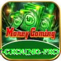 cricket ground - Casino Champion