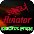 cricket pitch Master Pro v3.0.8