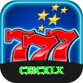 crickex Gold v4.2.5