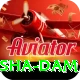 diamer bhasha dam Plus v2.5.0