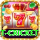 early payout cricket VIP v4.8.5