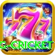 eng cricket Apps (Tools & Injectors) Max v2.5.5