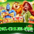 flying chess Elite Gaming App