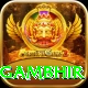gautam gambhir Pro Max v3.1.4