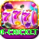 god of cricket Gold v3.2.1