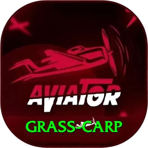grass carp Apps (Tools & Injectors) Master v1.0.9 - 2
