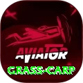 grass carp Apps (Tools & Injectors) Master v1.0.9