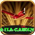 hile ilam tea garden Master v3.9.1