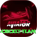 hong kong cricket team Ultimate v3.7.0