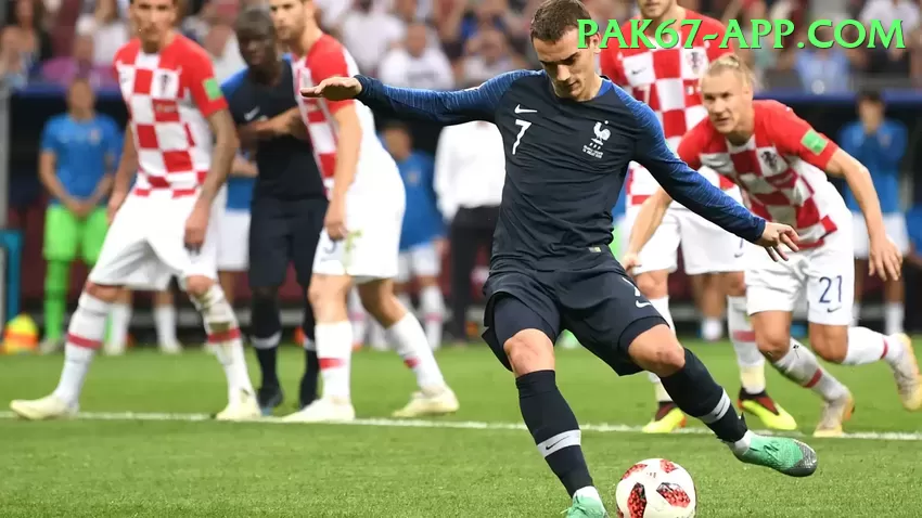 sports cricket live PK Pro Screenshot 1