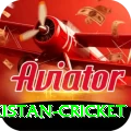 india pakistan cricket VIP Edition v3.6.9
