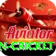 india pakistan cricket VIP Edition v3.6.9