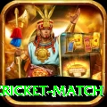 india pakistan cricket match Max Pro v5.2.3