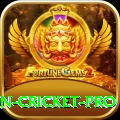 india pakistan cricket Jackpot Master v2.3.8