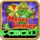india sri lanka cricket Deluxe Edition v1.9.7