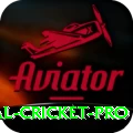international cricket Turbo Casino App