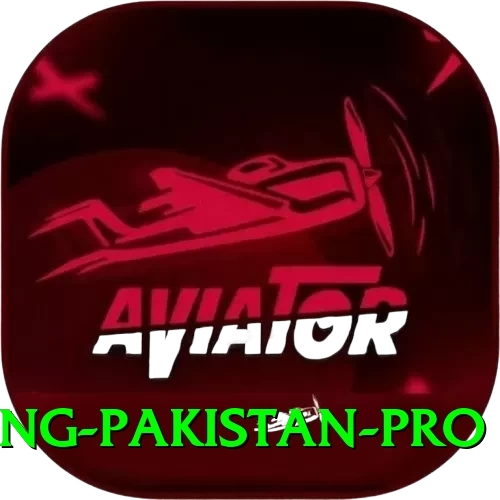 IPL Betting Pakistan VIP - Win Real PKR - 2