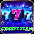 ireland cricket team Turbo v5.9.7