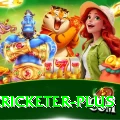 mohsin khan cricketer Casino VIP v3.5.6