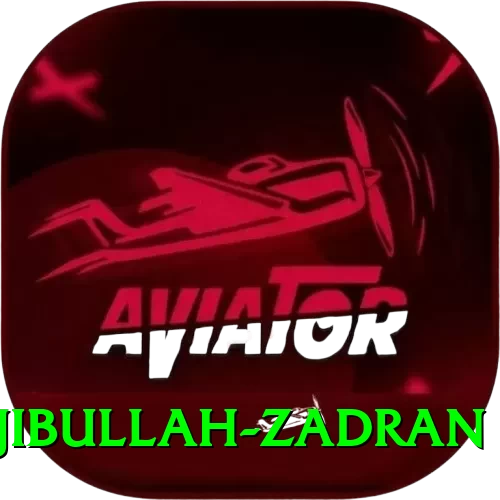 najibullah zadran Max Pro v4.0.9 - 2