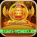 naseem shah yorkers Apps (Tools & Injectors) Ultimate v3.0.9