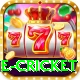 one cricket Apps (Tools & Injectors) Deluxe v5.8.9
