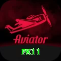 pk11 VIP v4.9.8