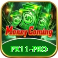 pk11 - Gaming Prime