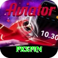 pkspin Max v1.6.9