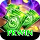 PKWin Deluxe Pro vv2.8.3
