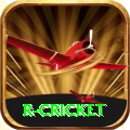 r cricket Pro1 v4.1.5