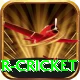 r cricket Pro1 v4.1.5