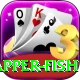 red snapper fish Premium v5.2.1
