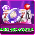 richard ngarava Plus v1.6.2