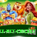 risk free bet cricket Turbo Pro v4.3.4
