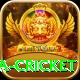 sa cricket Games (Casino & Earning) Pro v1.1.9