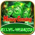steve waugh Plus v3.6.6