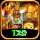 t20 Deluxe v5.6.8