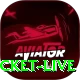 test cricket live Master v3.4.0