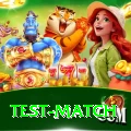 test match Apps (Tools & Injectors) Deluxe v5.9.5
