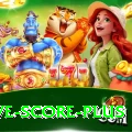 tnpl live score Master v4.0.8
